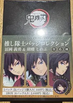 鬼滅の刃　推し隊士バッジコレクション　缶バッジ　冨岡義勇 胡蝶忍 1BOX