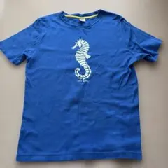 PETIT BATEAU Tシャツ 152のサムネイル