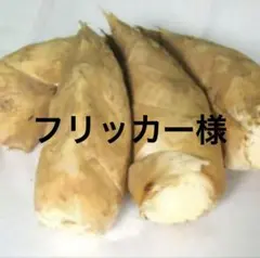 2026年最新】筍 京都の人気アイテム - メルカリ