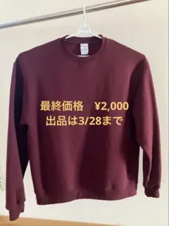 Champion PULLOVER オーバーサイズ プルオーバー　スウェット