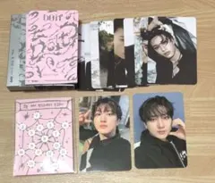 チャンビン　スキズ DOIT トレカ　ピック　PLATFORM プラットフォーム