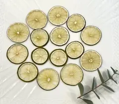 なな様 リクエスト 2点 まとめ商品