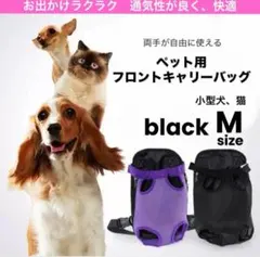 Item thumbnail for item 630d1fcd-5f49-43e7-8381-db7714dddb6a