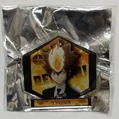 家庭教師ヒットマンREBORN! JF2019 アクリルバッジ 沢田綱吉　超ツナ