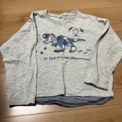 恐竜プリント 長袖カットソー 120