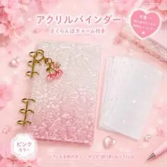 アクリルバインダー ピンク レフィルつき 韓国 貯金 家計簿 推し活