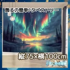 タペストリー 背景布 オーロラ 夜景 夜空 神秘的 インテリア 109