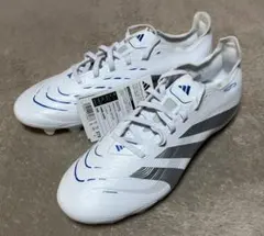 Item thumbnail for item 14f14e6a-9a8b-47c8-85bd-285cbd3681ae