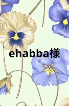 ehdbba様専用ページ