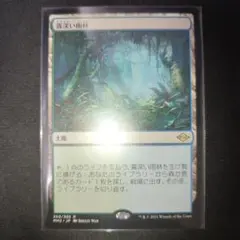 2025年最新】霧深い雨林の人気アイテム - メルカリ