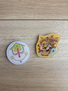 東京ディズニーリゾート　デコレーションマグネット　チップとデール
