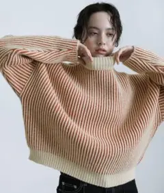 セレクトモカ　ストライプ タートルネックニット