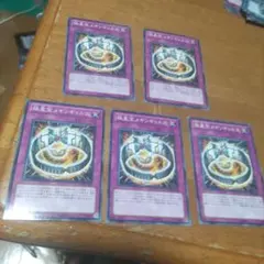 遊戯王 極星宝メギンギョルズ