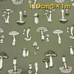 綿プリント オックス生地 【きのこ】 110cm幅 × 約1m 日本製
