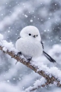 Item thumbnail for item d785825e-82e7-492f-9011-cabea606e5b0