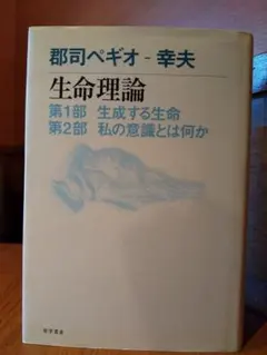 パイプ美術館 梅田晴夫/著 限定1500部 東京書房社 1973年発行 - メルカリ