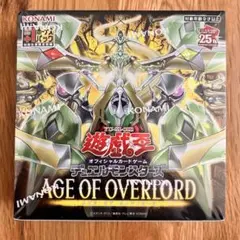 2026年最新】エイジオブオーバーロード box シュリンク付の人気