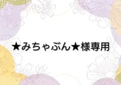 ★みちゃぶん★様 リクエスト 3点 まとめ商品