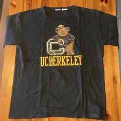 Champion T1011 Berkeley Tシャツ Lサイズ 黒