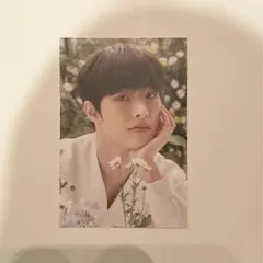 アチズ　ポストカード　ミンギ