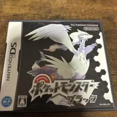 【起動確認済】ポケットモンスター ブラック ホワイト 2本セット