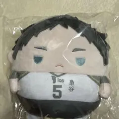 ハイキュー くじメイト ぬいくじ C賞 ふわコロりん Мサイズ 赤葦京治