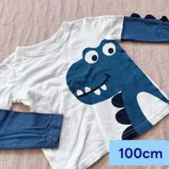 100cm 恐竜 ロンT 重ね着風