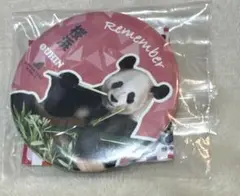 アドベンチャーワールド 缶バッジ 桜浜