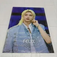 フォト付き✨最新作入荷【StrayKids】プレミアムフォトブック　フィリックス