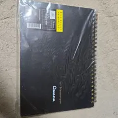 Item thumbnail for item 7d9ca2b2-2d28-42a9-ad67-1f6767beff47