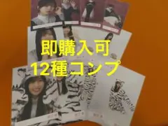 Item thumbnail for item a69ca091-9d67-48b5-a15e-200e0ee66ff0