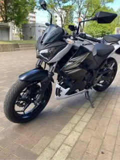 Kawasaki Z250 ホワイト バイク 本体