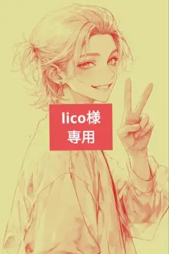 lico様 リクエスト 5点 まとめ商品