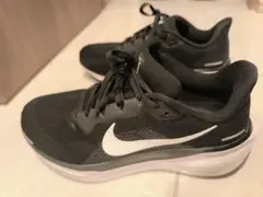 Nike Air Zoom Pegasus 41 Wide 27.0 cm 中古