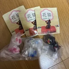 탄 클럽 꽃 고양이 하네코 가챠 묶음 판매 세트 익명 배송