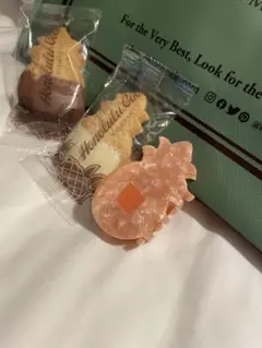 Item thumbnail for item a35fab0e-bb1d-4711-b0be-2be9e762d8a9