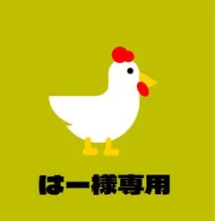 ❁⃘*.゜ はー様専用❁⃘*.゜