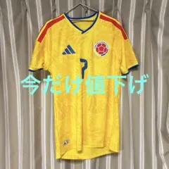 新品・未着用】ベガルタ仙台 ホーム ユニフォーム 2024 【中島元彦