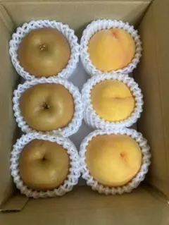 岡山県産一宮ブランド マンゴーピーチ B級品 5個セット 1.4kg【④