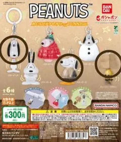 スヌーピー　めじるしアクセサリー　FUNNYver