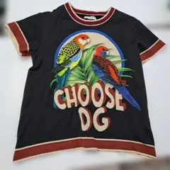 Dolce & Gabbana オウムプリント Tシャツ サイズ6のサムネイル