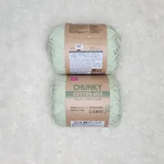 DAISO チャンキーコットンミックス 毛糸 ライトグリーン 2玉セット