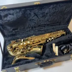 2025年最新】MINERVA サックス本体の人気アイテム - メルカリ