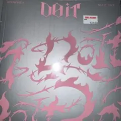 新品未開封 straykids DOIT itver IT盤 スキズ 通常盤