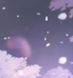 ‧✧̣̇‧専用‧✧̣̇‧