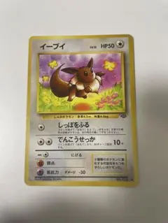 イーブイ ● 第2弾拡張パック ポケモンジャングル