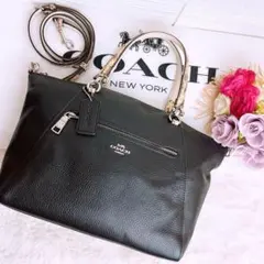 極美品☆COACHコーチ 2wayショルダーバッグ ブラック パイソン レザー