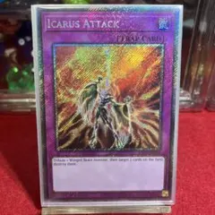 グエン様 リクエスト 2点 まとめ商品