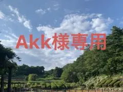 専用です