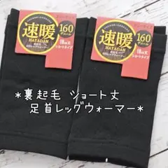 裏起毛 レッグウォーマー　足首ウォーマー ショート丈 黒 2足セット